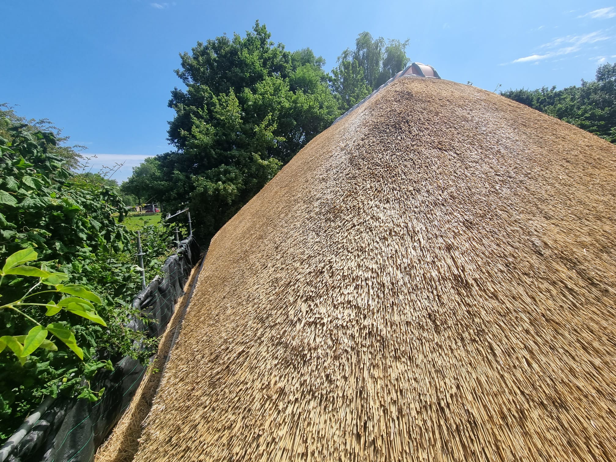 Traditional Roof Thatching – Sustaioke nable Craftsmanship with Timeless Style