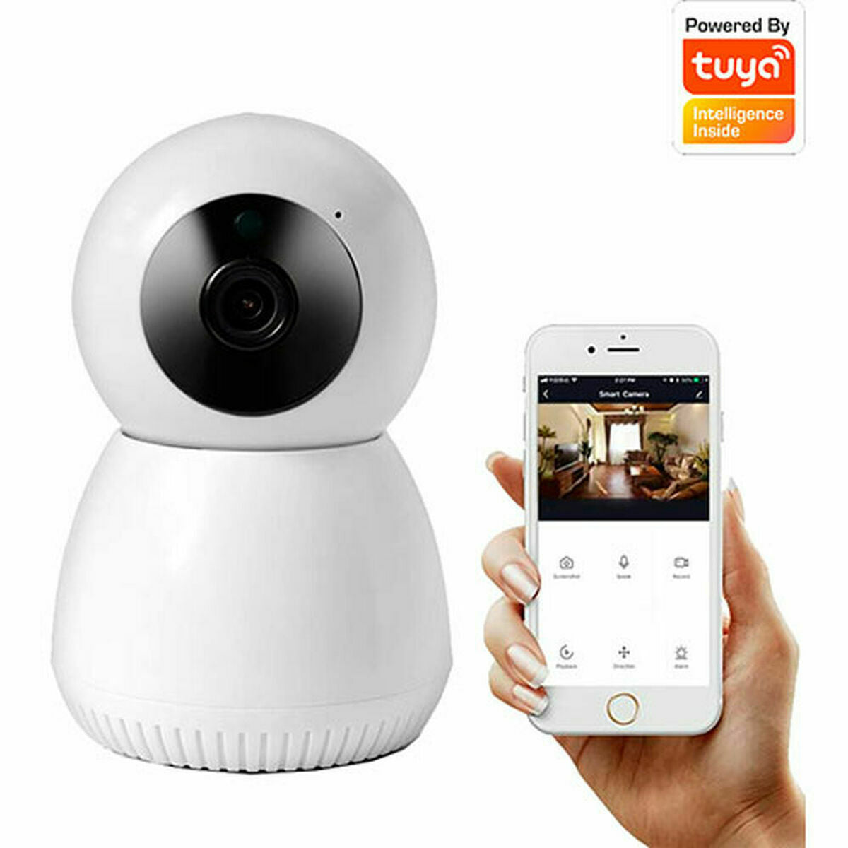 IP camera Denver Electronics IIC