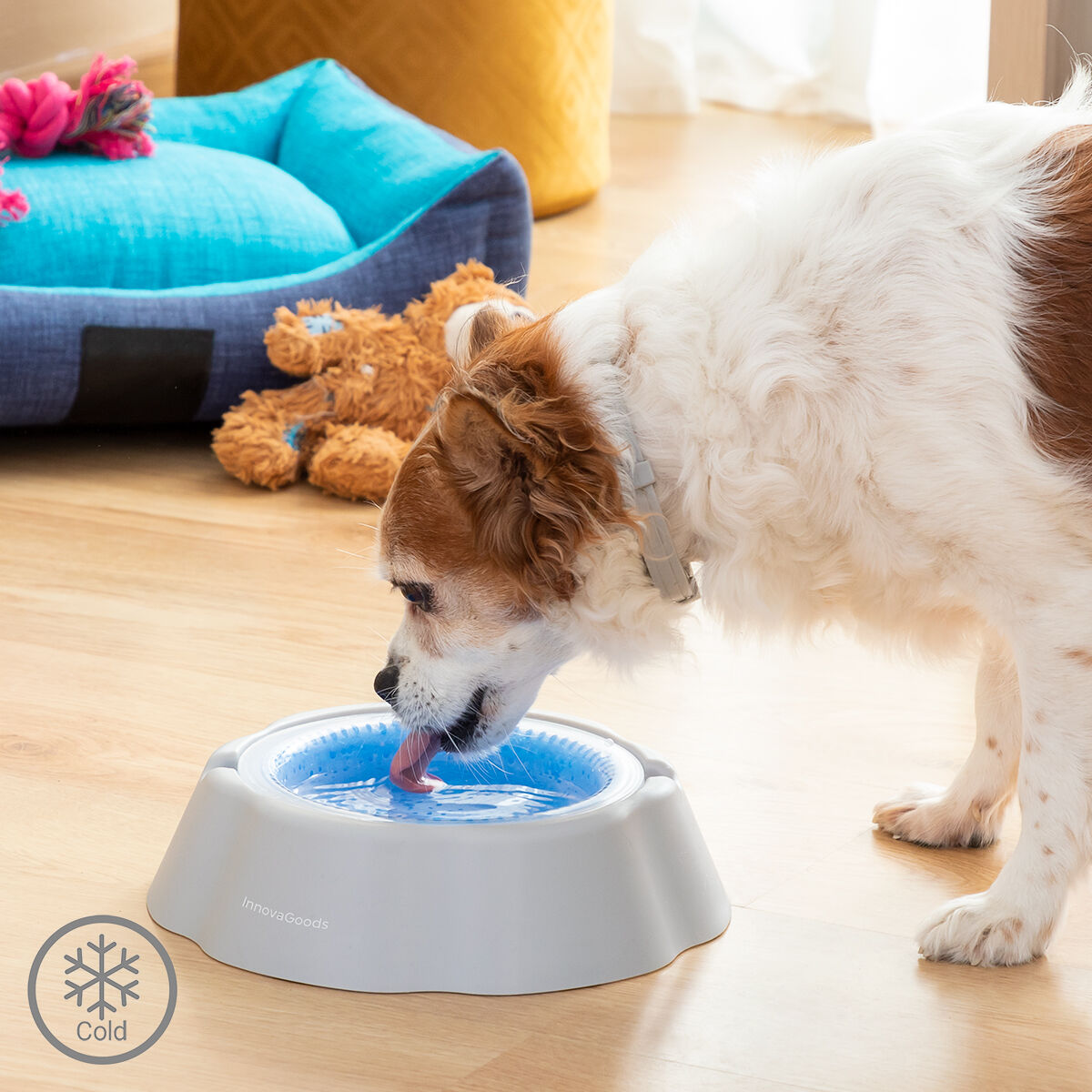 Cooling Pet Water Bowl Freshty