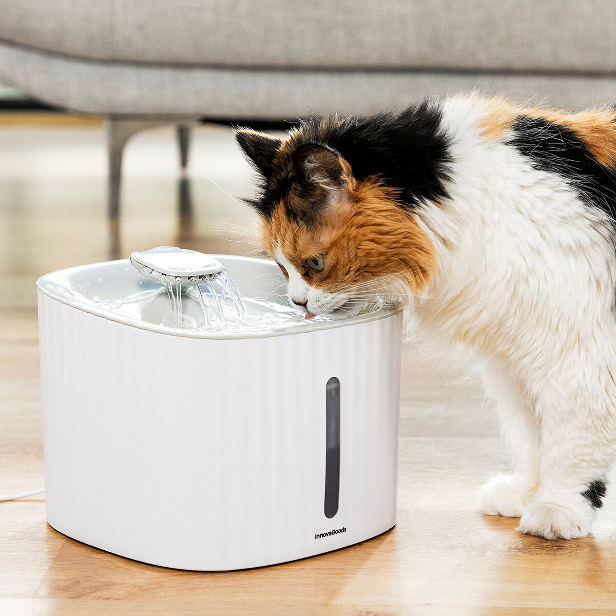 Pet Water Fountain