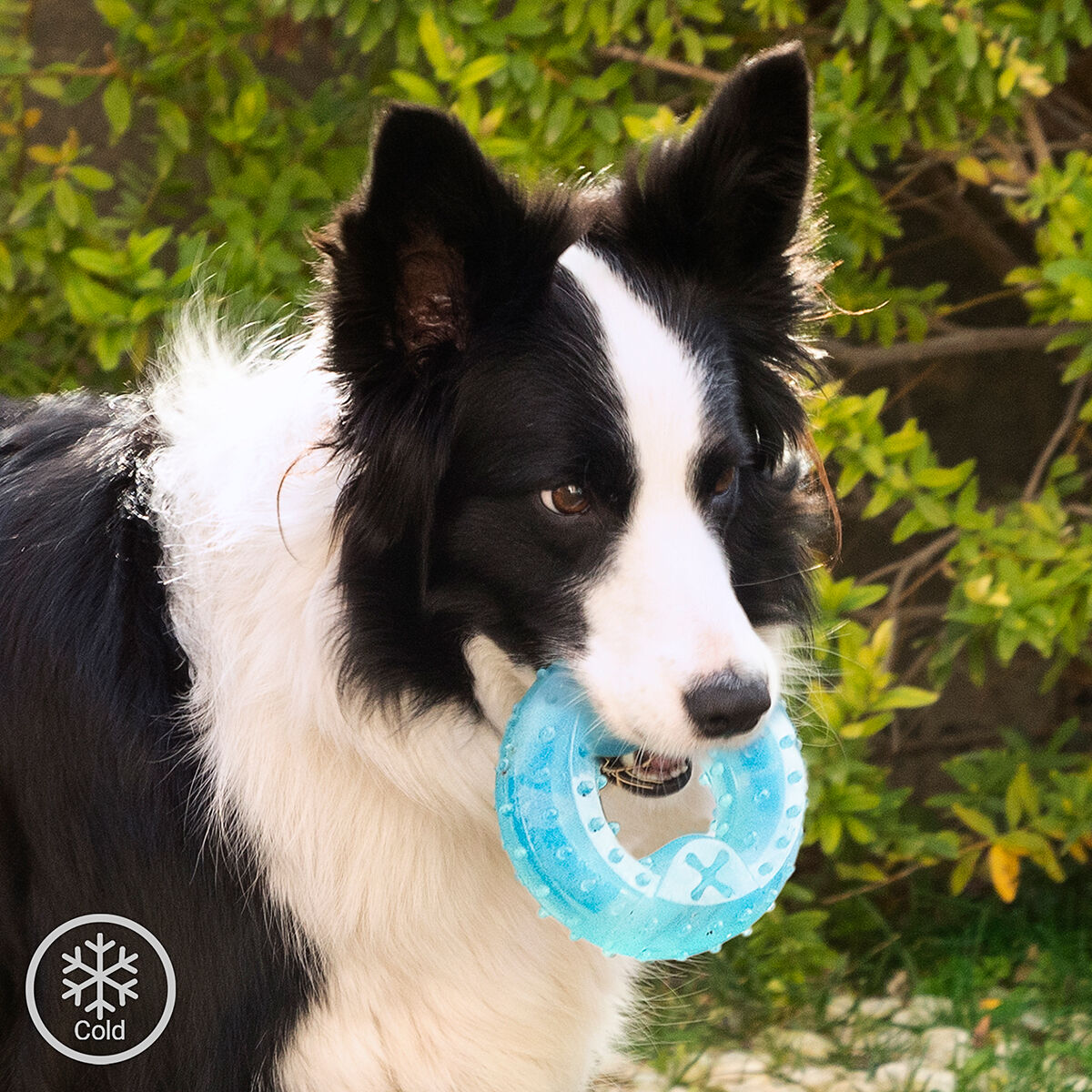 2-in-1 Freezable Pet Chew Toy