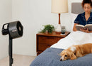 Dog laying on bed with the fan