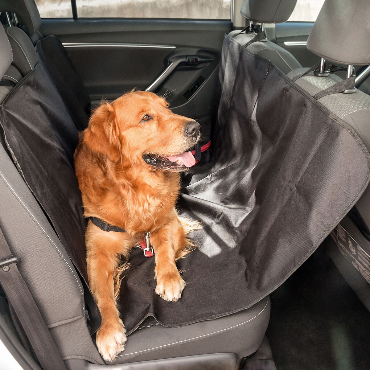 Protective Car Cover for Pets Petchez