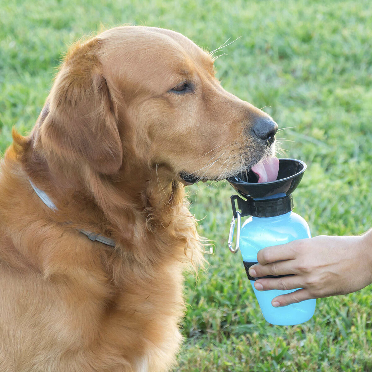 Dog Water Bottle-Dispenser