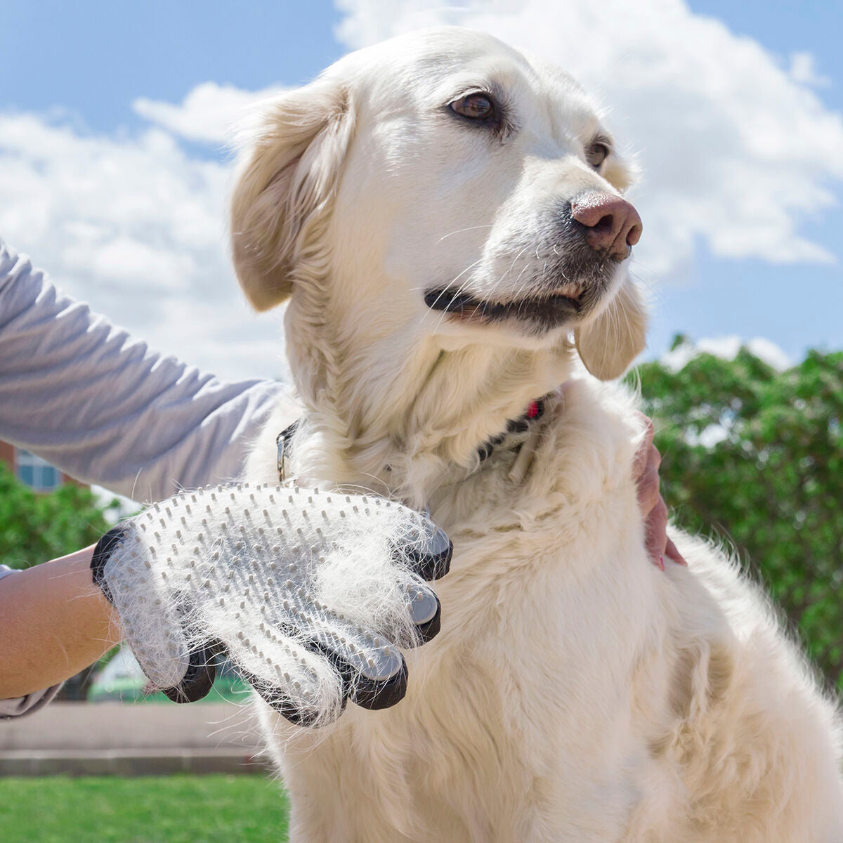 Pet Brush & Massage Glove Relpet