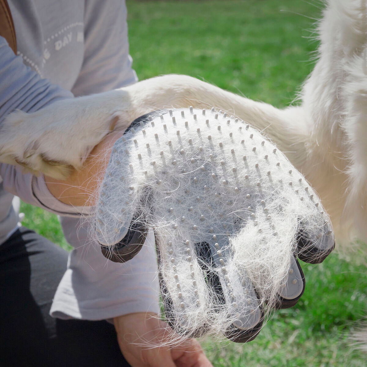 Pet Brush & Massage Glove Relpet