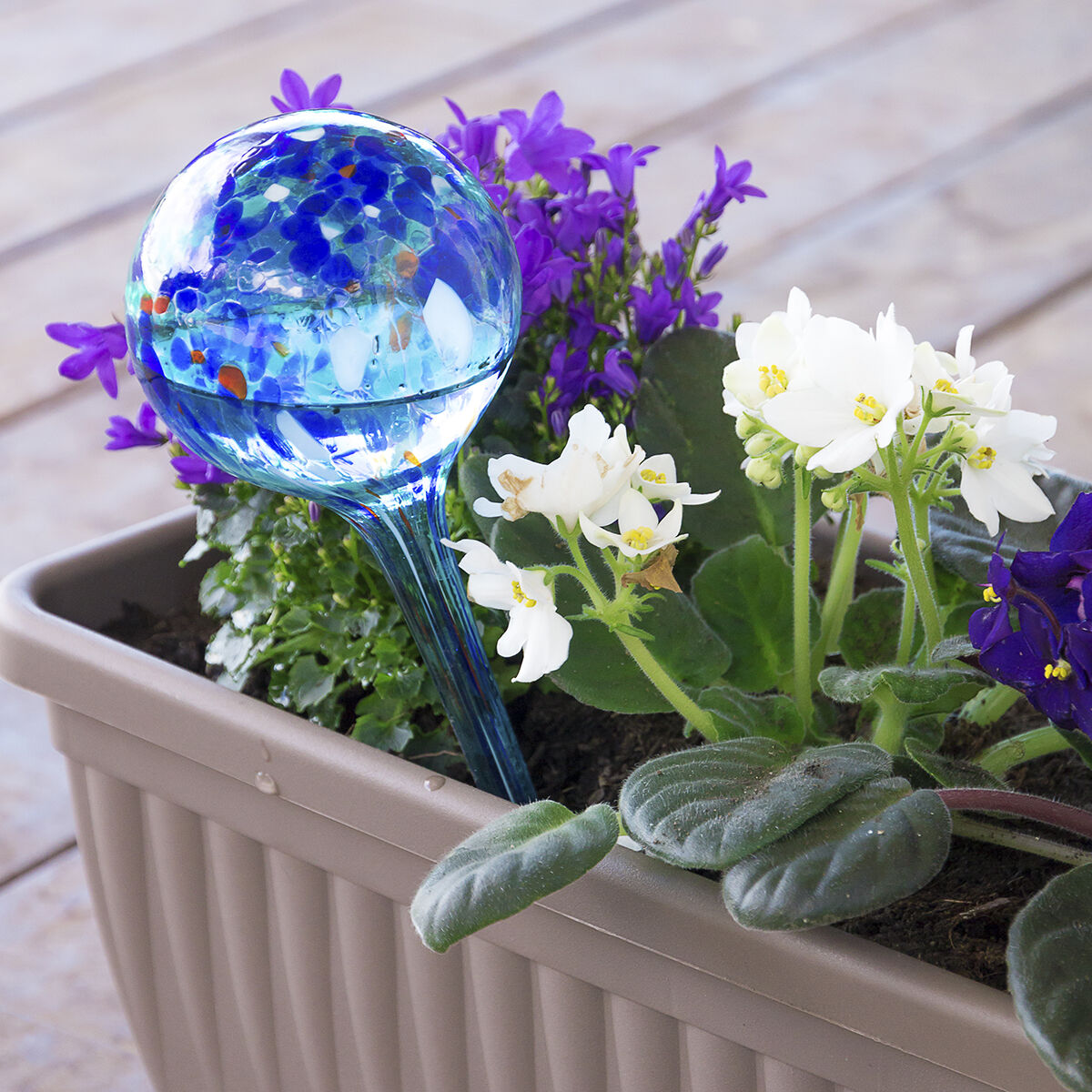 Automatic Watering Globes Aqua·Loon 2 Units