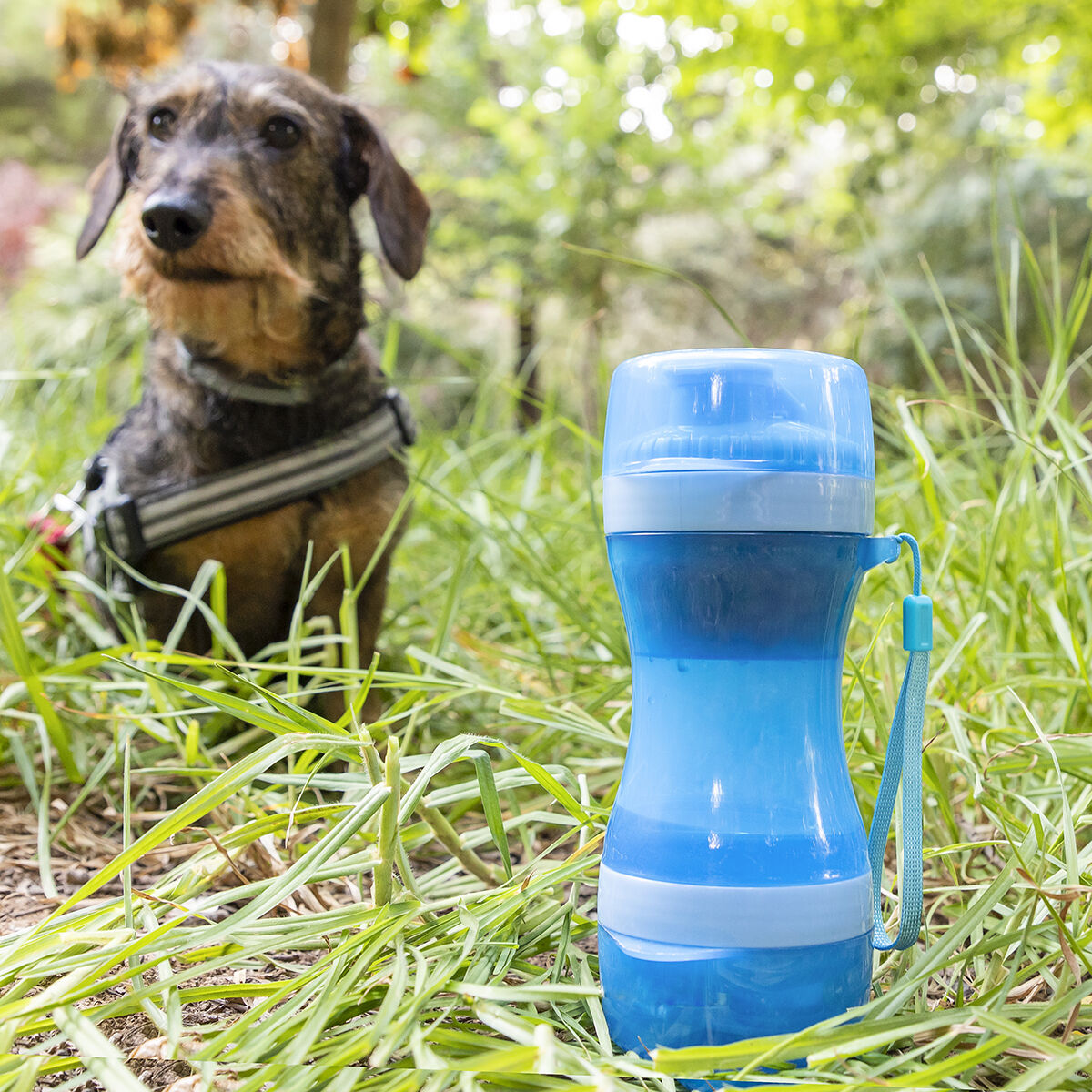 2-in-1 bottle with water and food containers for pets