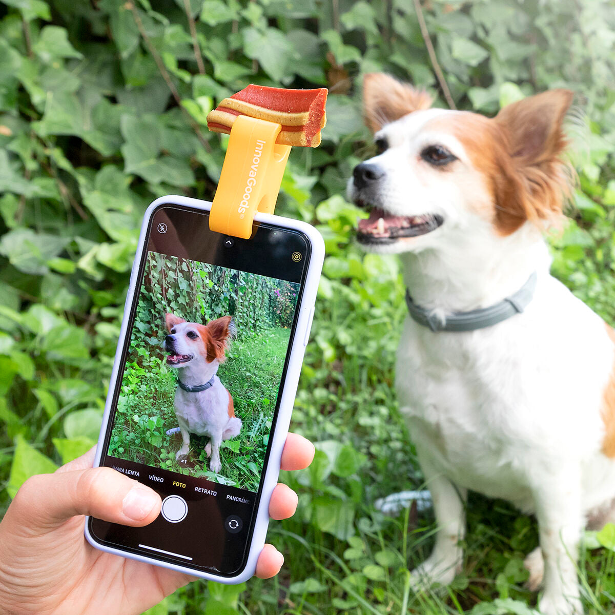 Selfie Clip for Pets Pefie