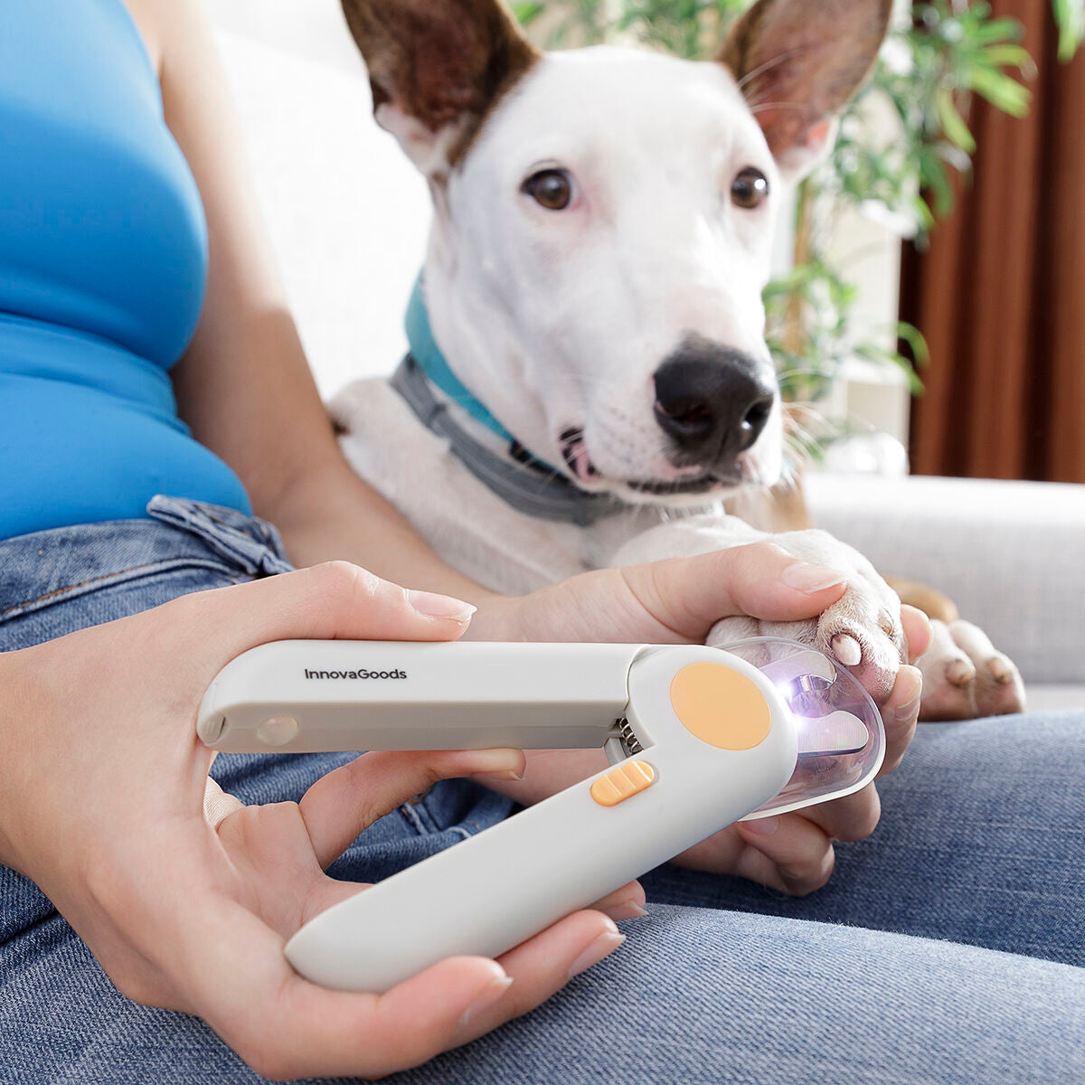 Pet Nail Clippers with LED