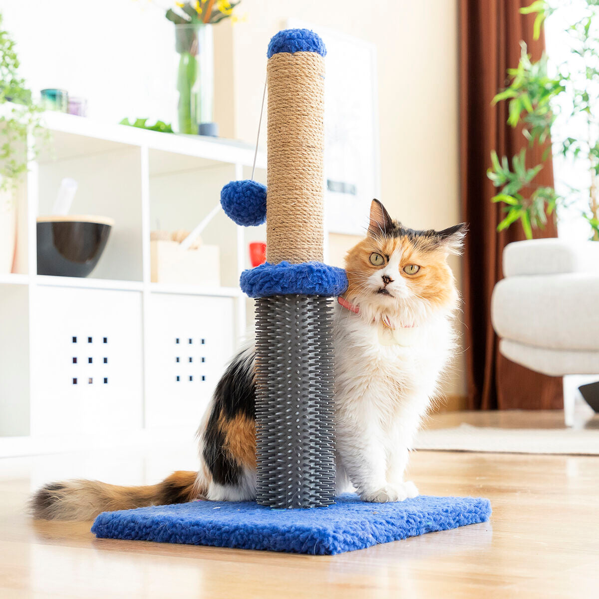 Cat Scratching and Massage Post with Ball