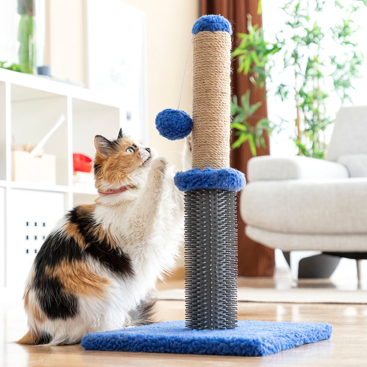 Cat Scratching and Massage Post with Ball