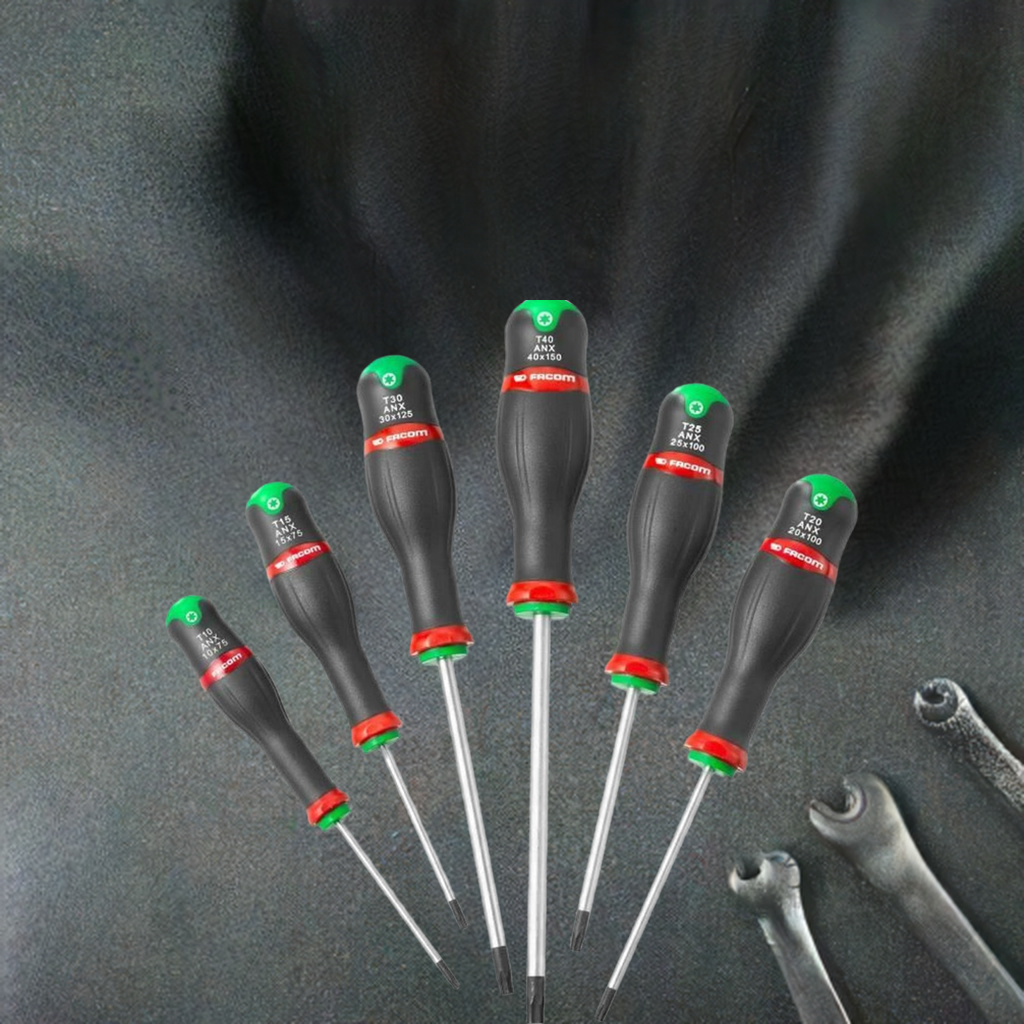 Screwdriver Set Facom ATX.J6PB 6 Pieces