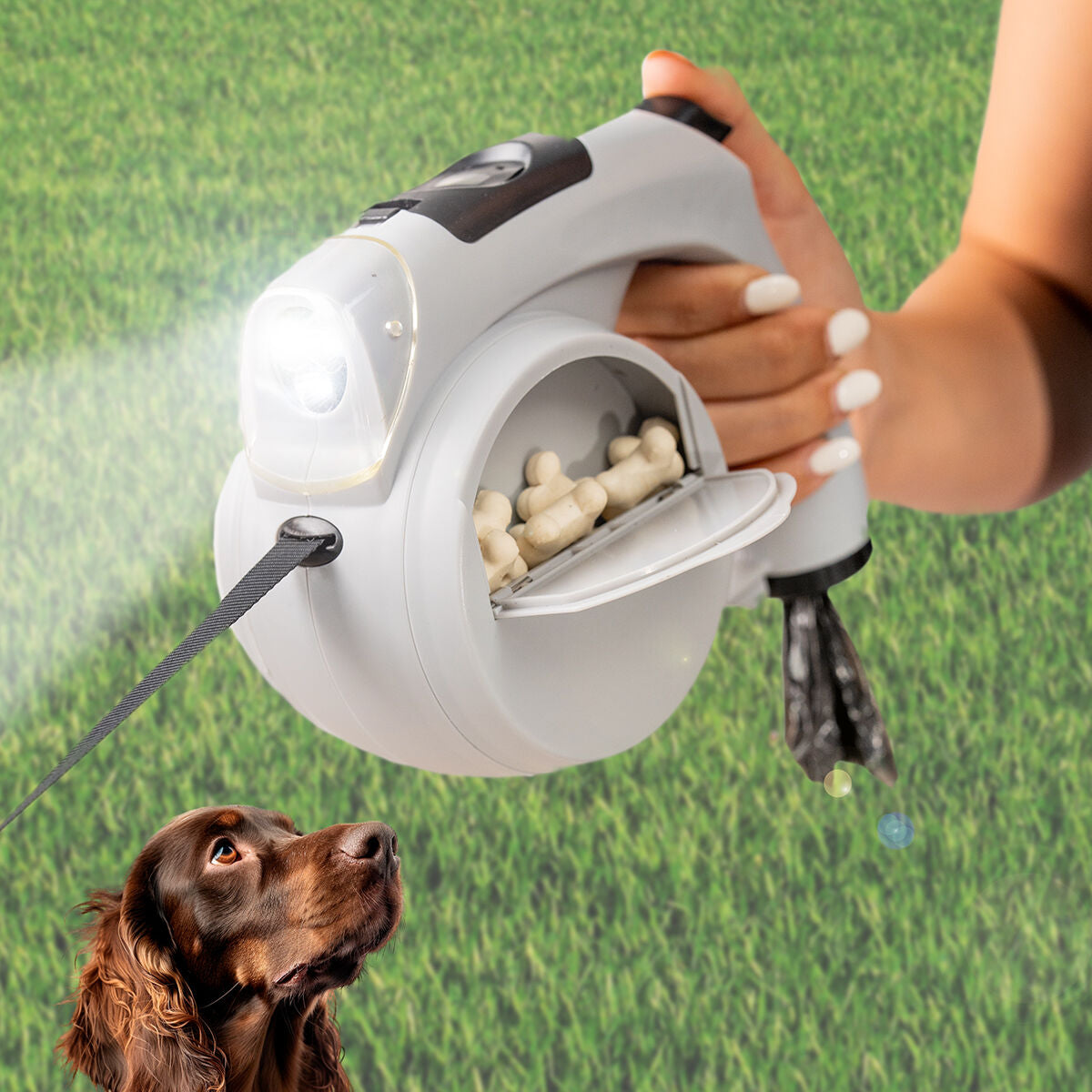 6-in-1 Retractable Dog Leash